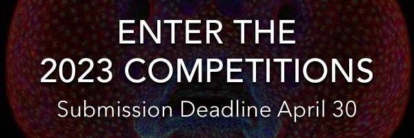 Call For Entries - Submission Deadline April 30