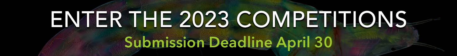Call For Entries - Submission Deadline April 30