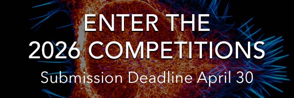 Call For Entries - Submission Deadline April 30