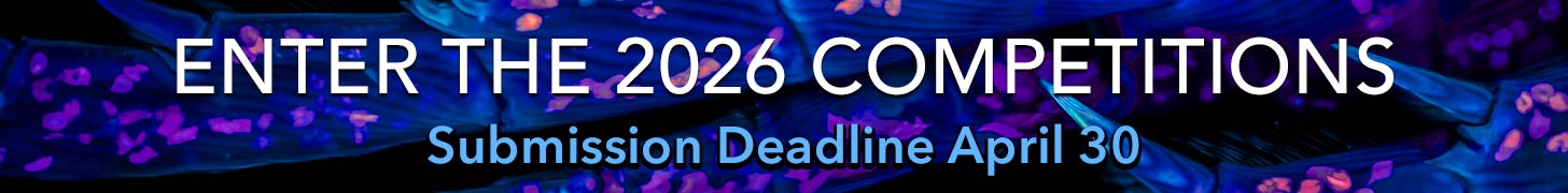 Call For Entries - Submission Deadline April 30