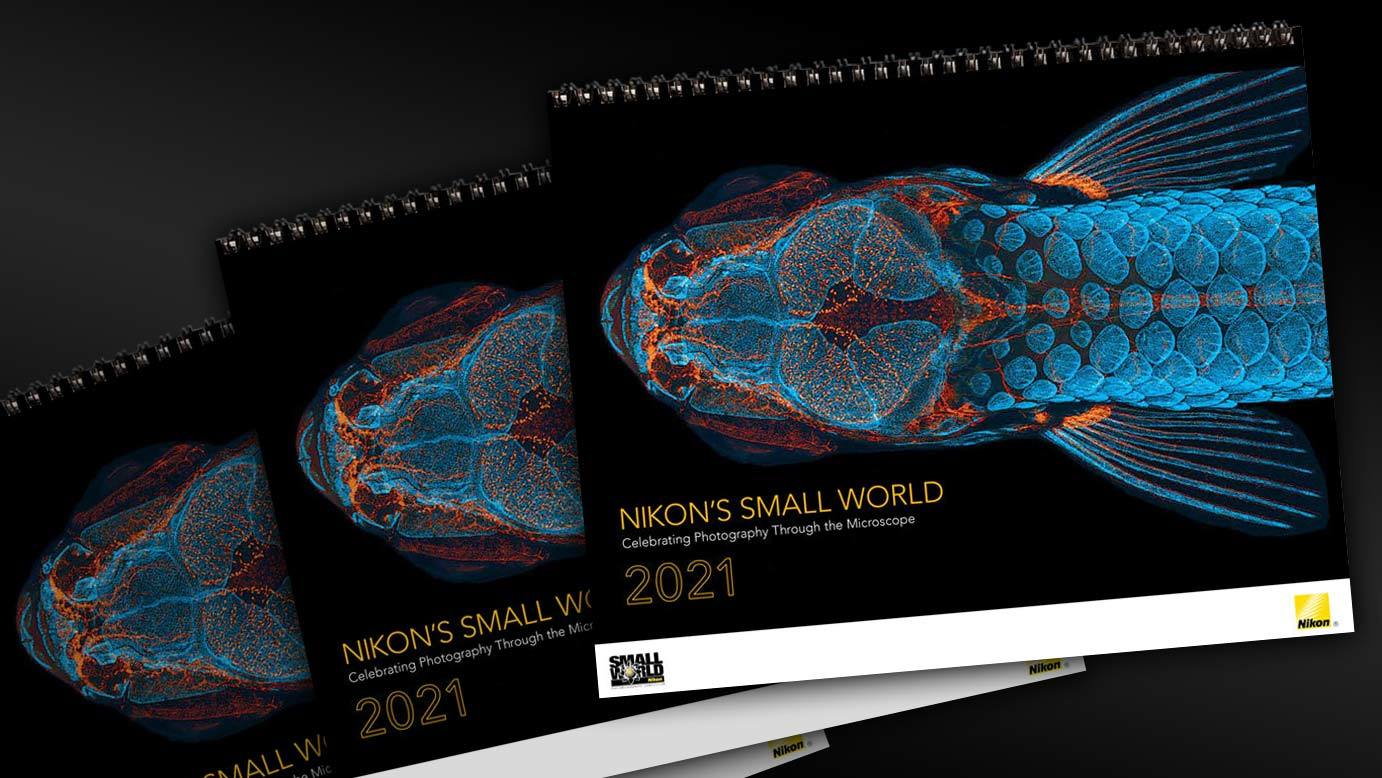 Nikon’s Small World