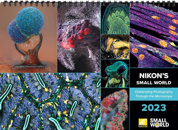 2023 Nikon Small World Wall Calendar Now Available for Purchase - Buy One,  Get One Free!, News