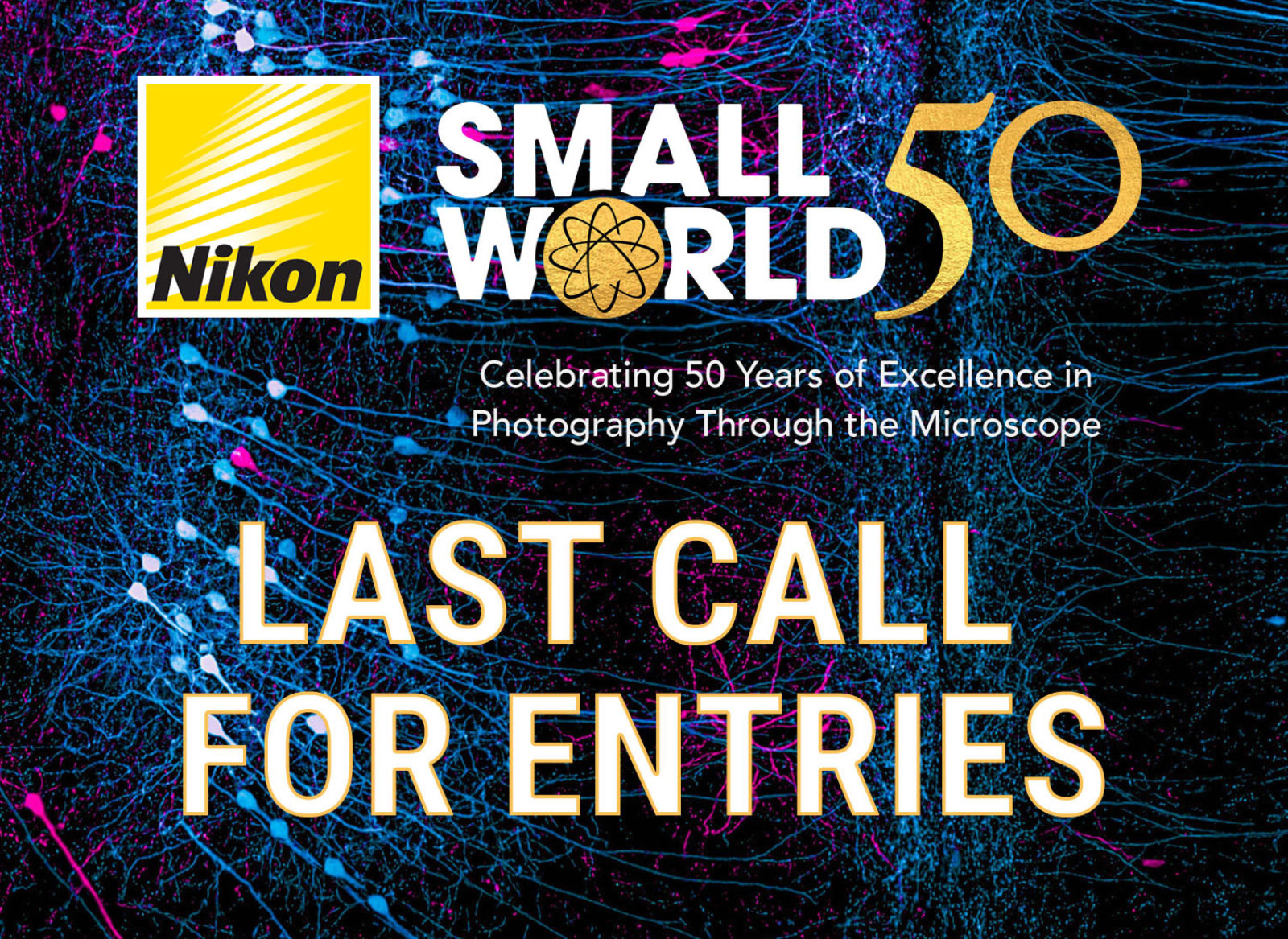 Last Call for Entries to the 50th Anniversary 2024 Small World