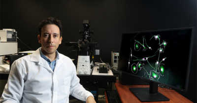 3 Bruno in microscopy