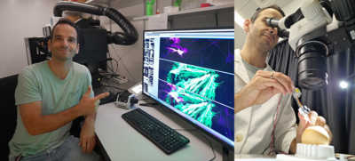 Dumoulin conducting research