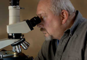 Krebs microscope