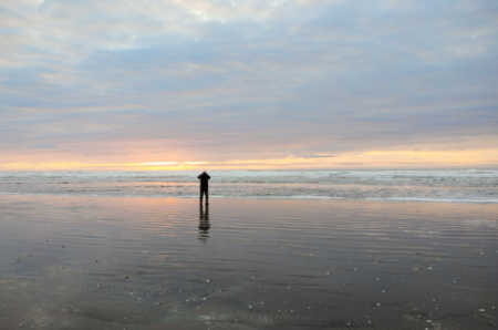 Krebs on beach