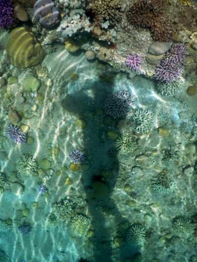 Selfie with corals sm