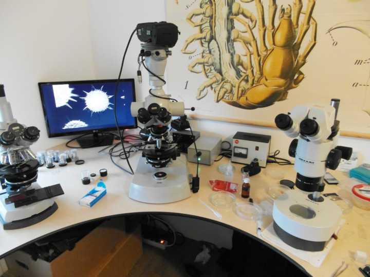 Wim Blog Image 3