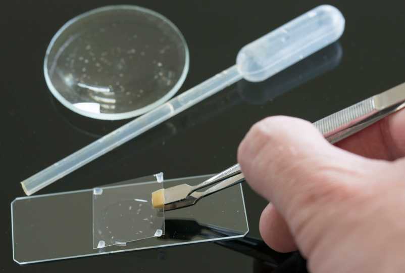 Wim Blog Image 2