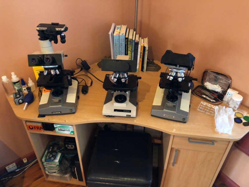 Fabian microscope setup