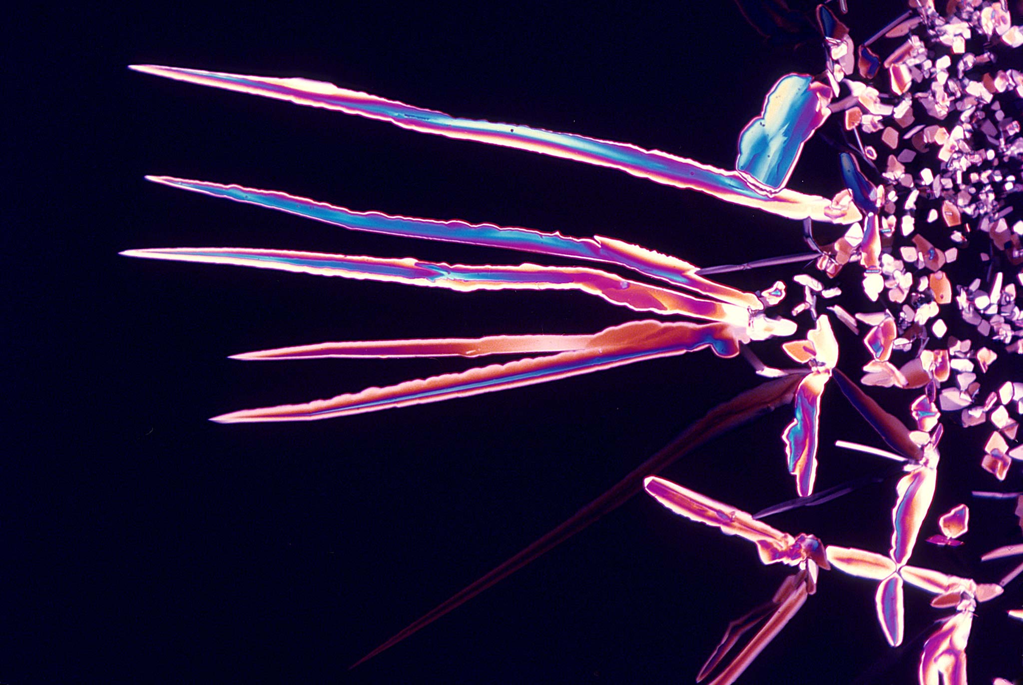 Crystals of pyrocatechol | Nikon Small World