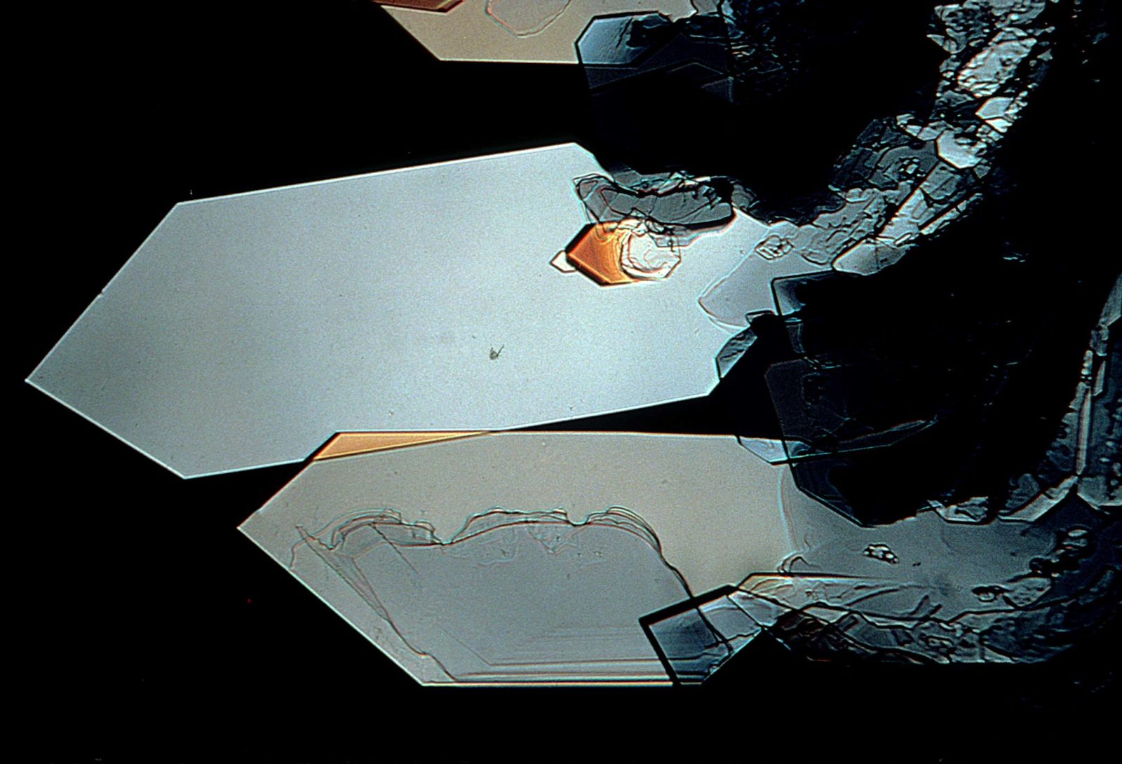 Photographic bleach chemical Nikon’s Small World