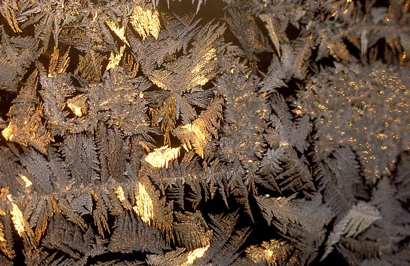 Ice crystals on glass | Nikon Small World