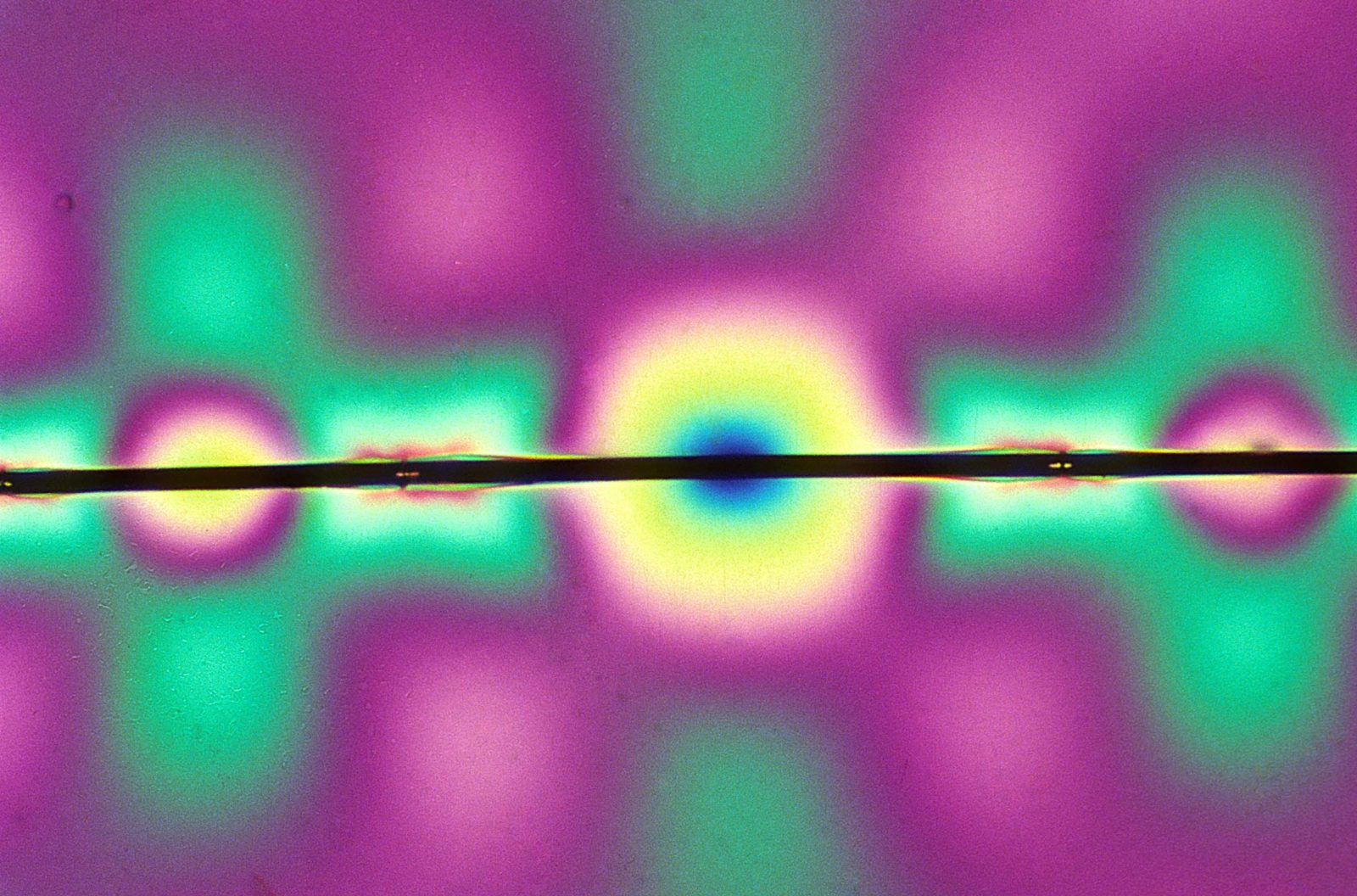 Graphite fiber | Nikon Small World