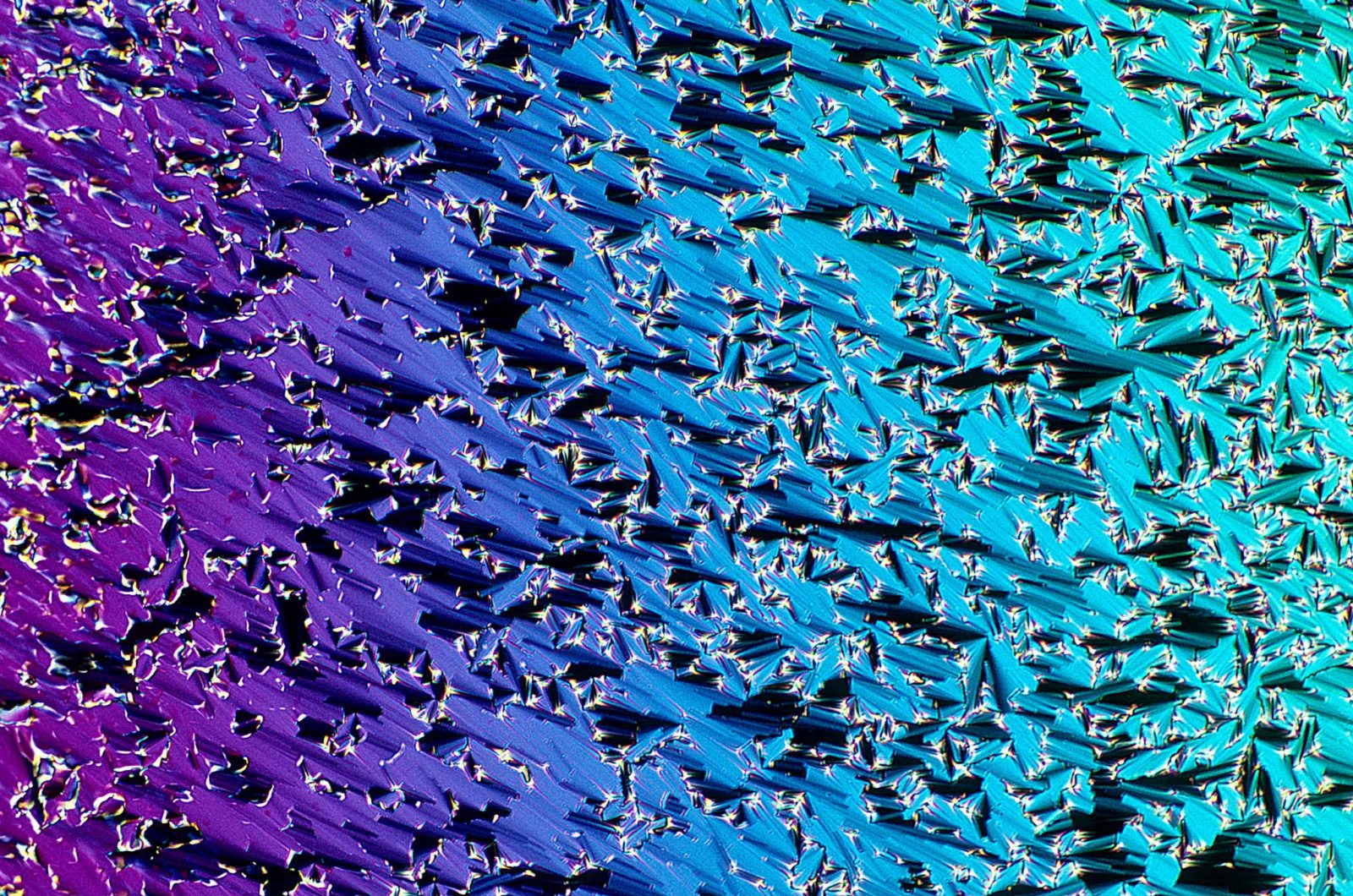 Thermotropic liquid crystals Nikon’s Small World