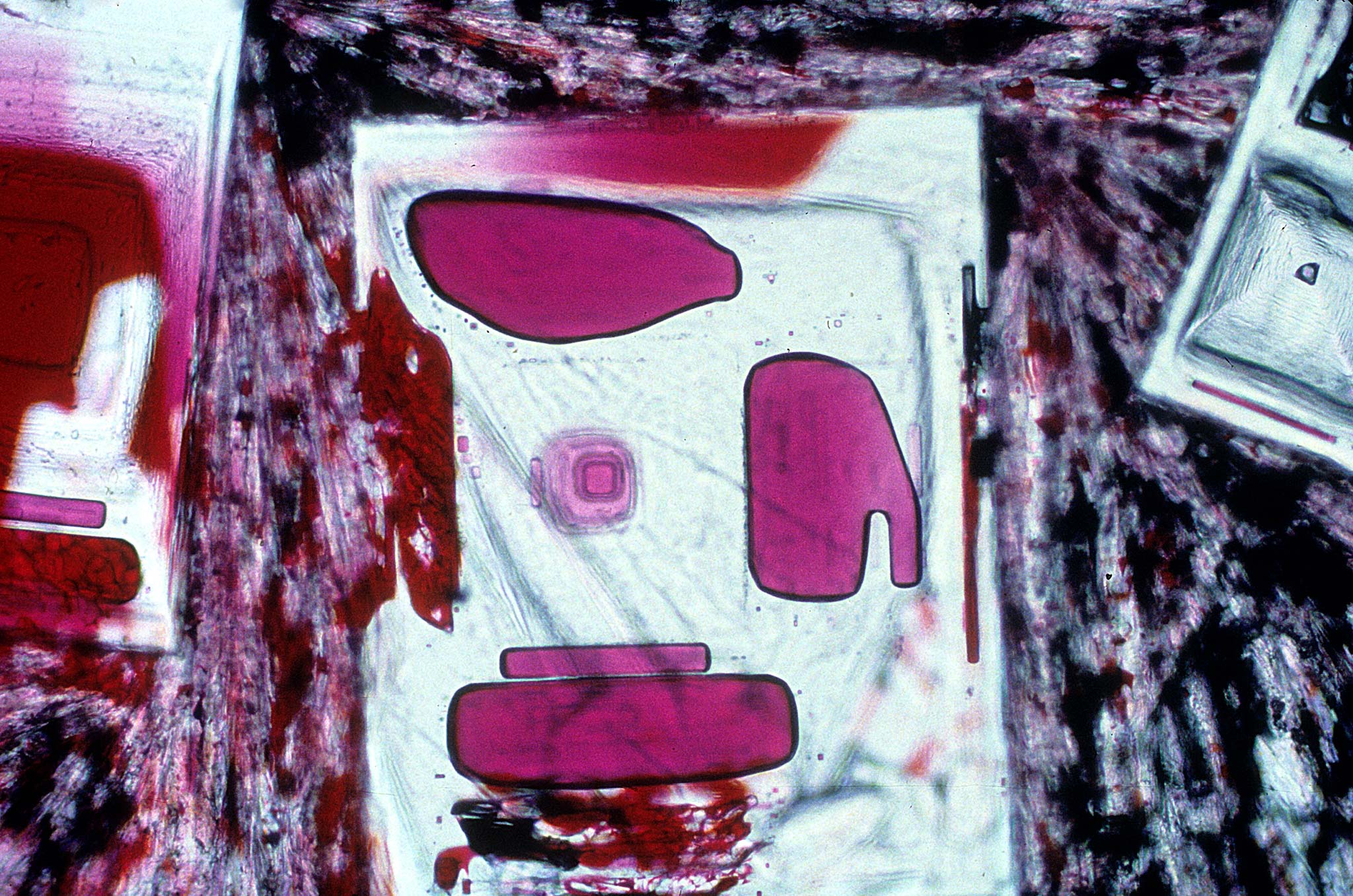 Crystals of sodium chloride and sodium hydroxide with red dye (phenol ...