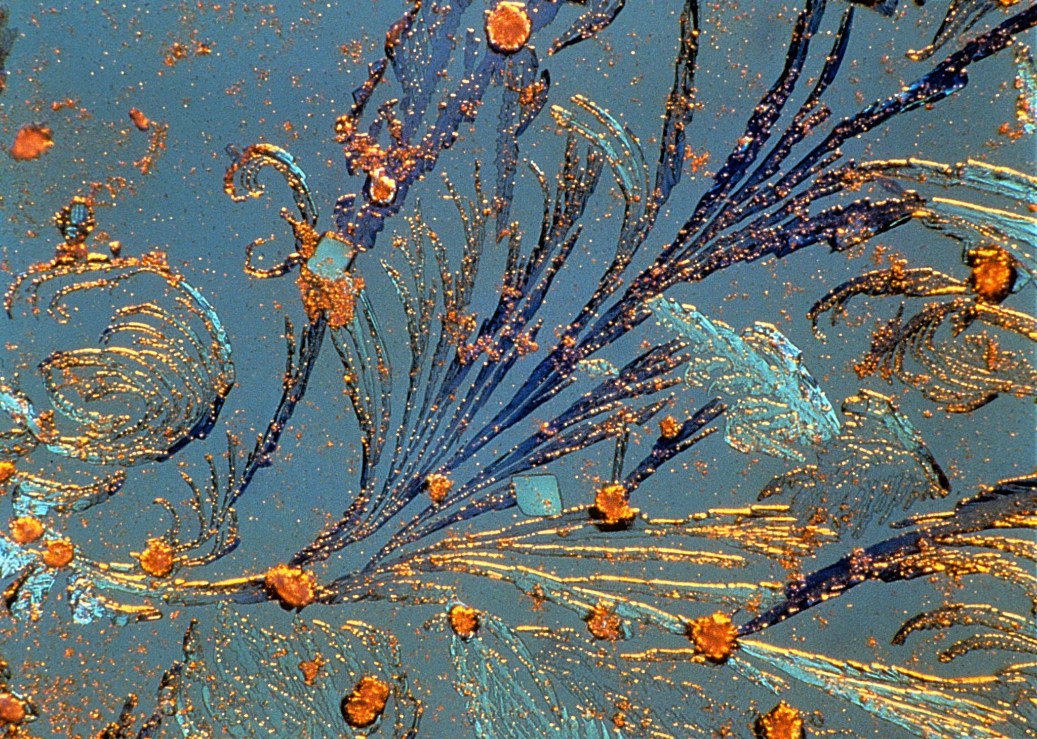 Crystallized photographic fixer (chemical used to develop film) Nikon