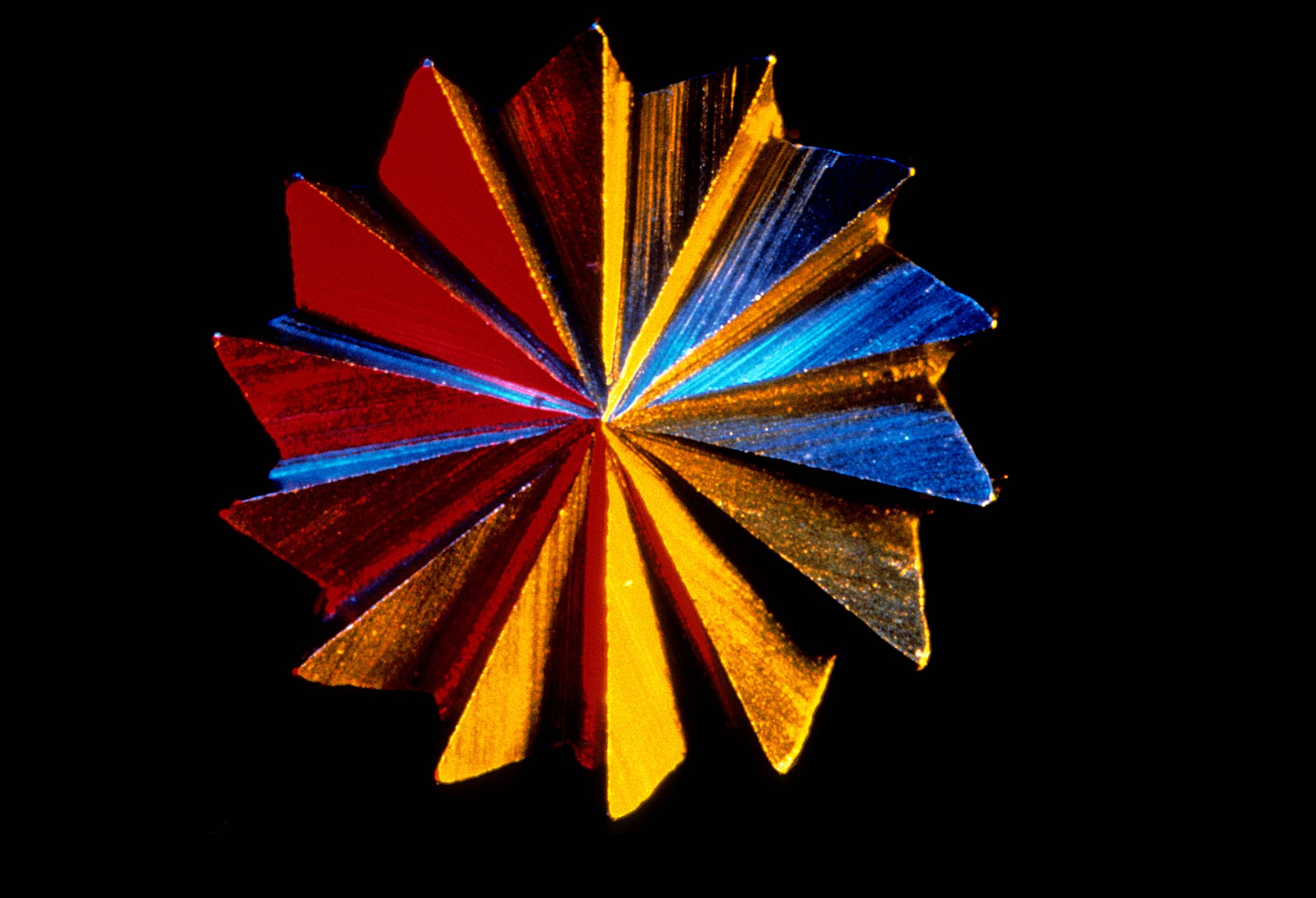 Spur gear cutter Nikon’s Small World