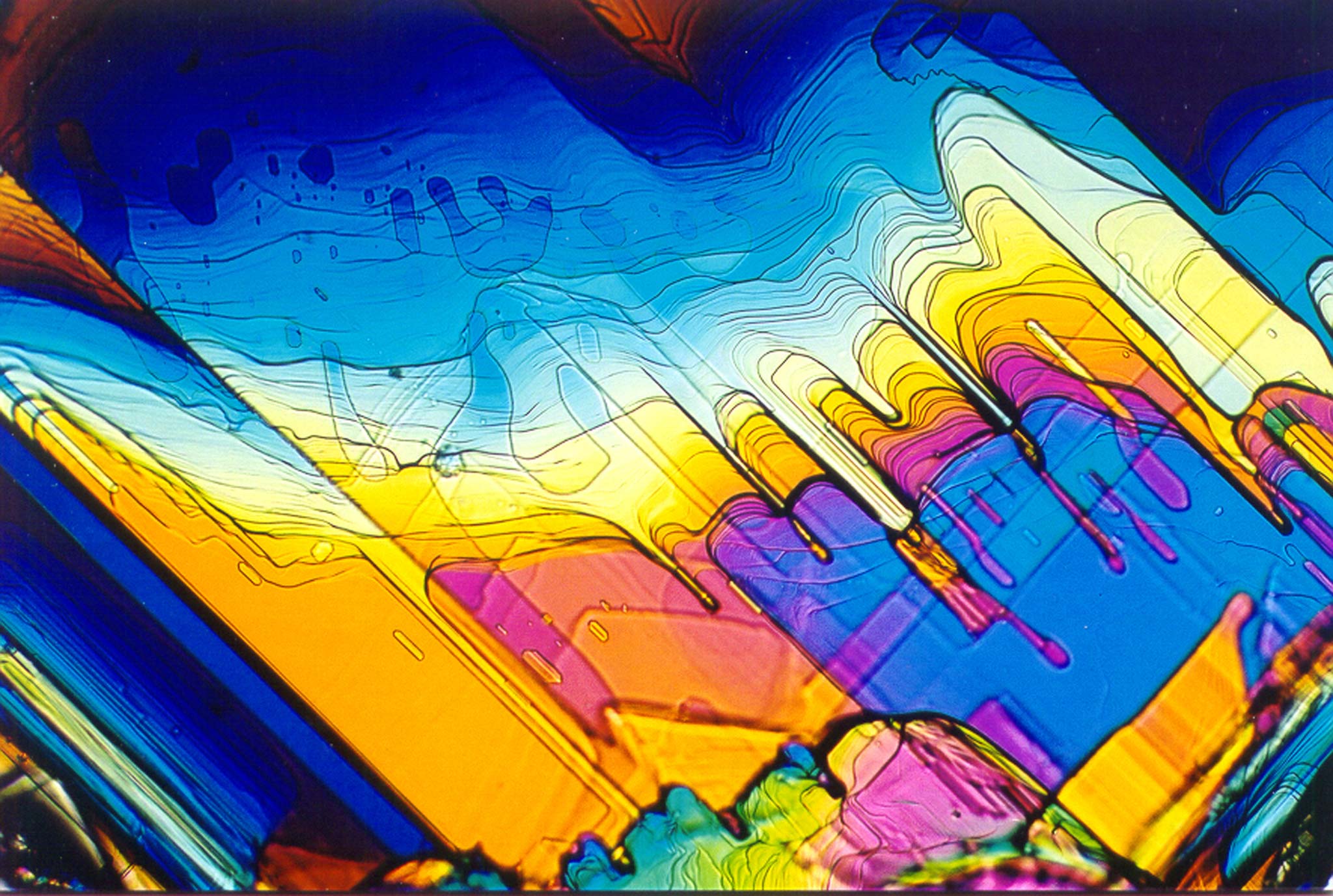 Crystallized saccharine Nikon’s Small World