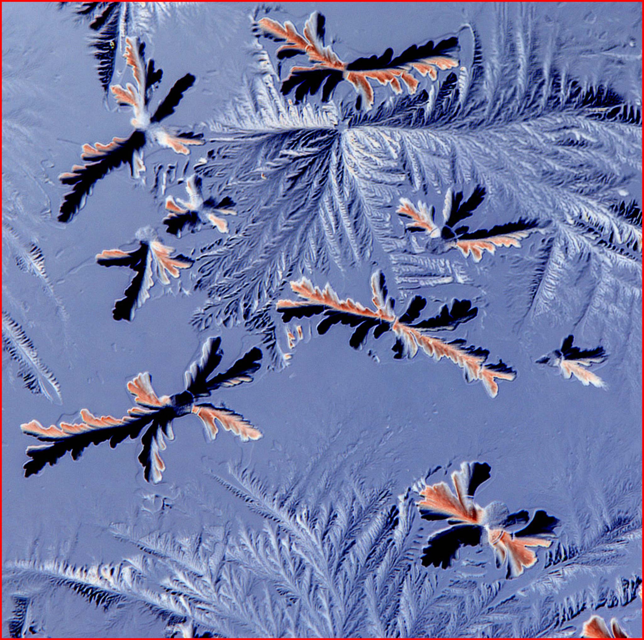 Crystalline formations from evaporated contact lens solution Nikon’s