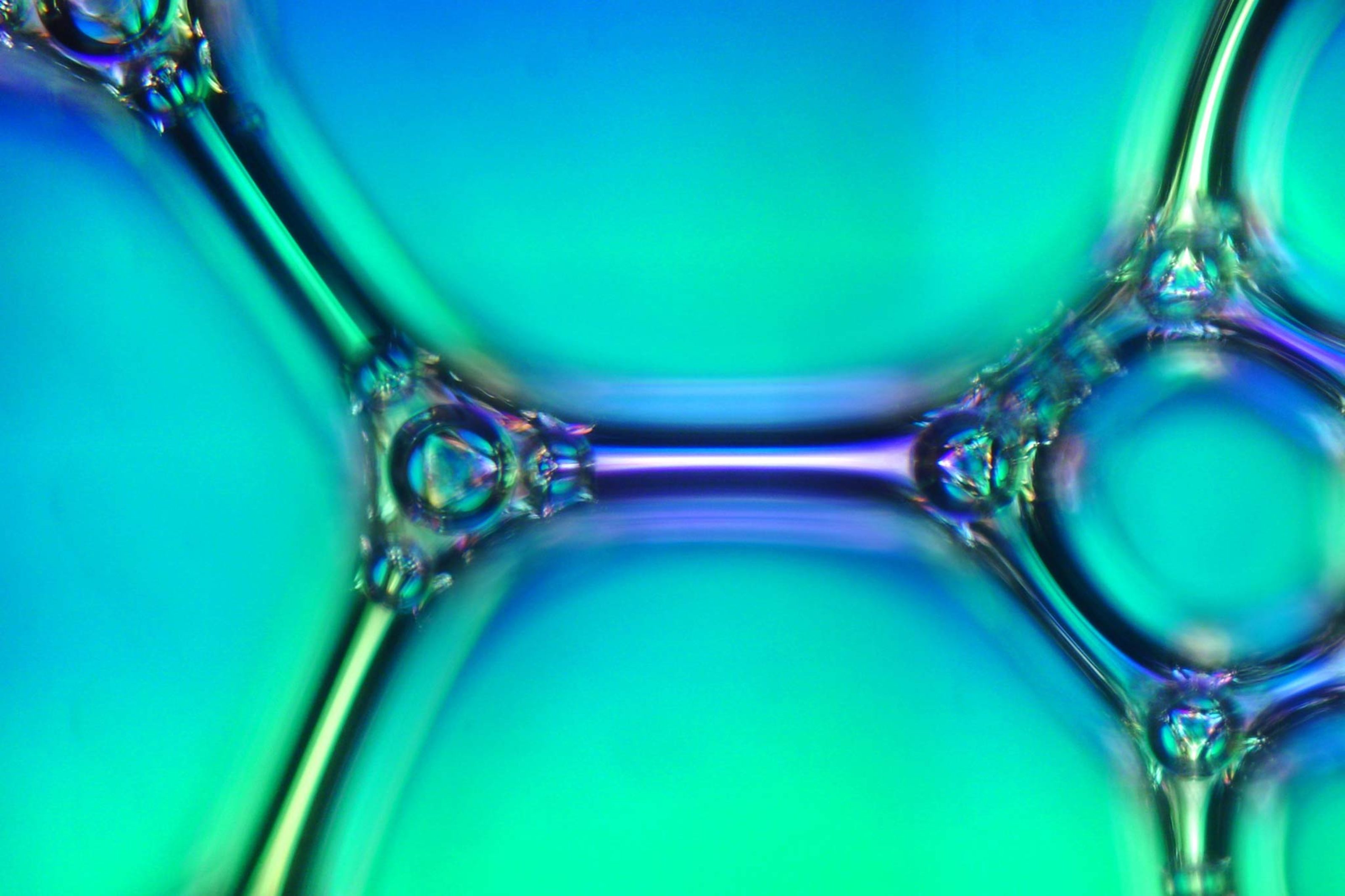 Soap Microbubbles Soap bubbles | Nikon Small World