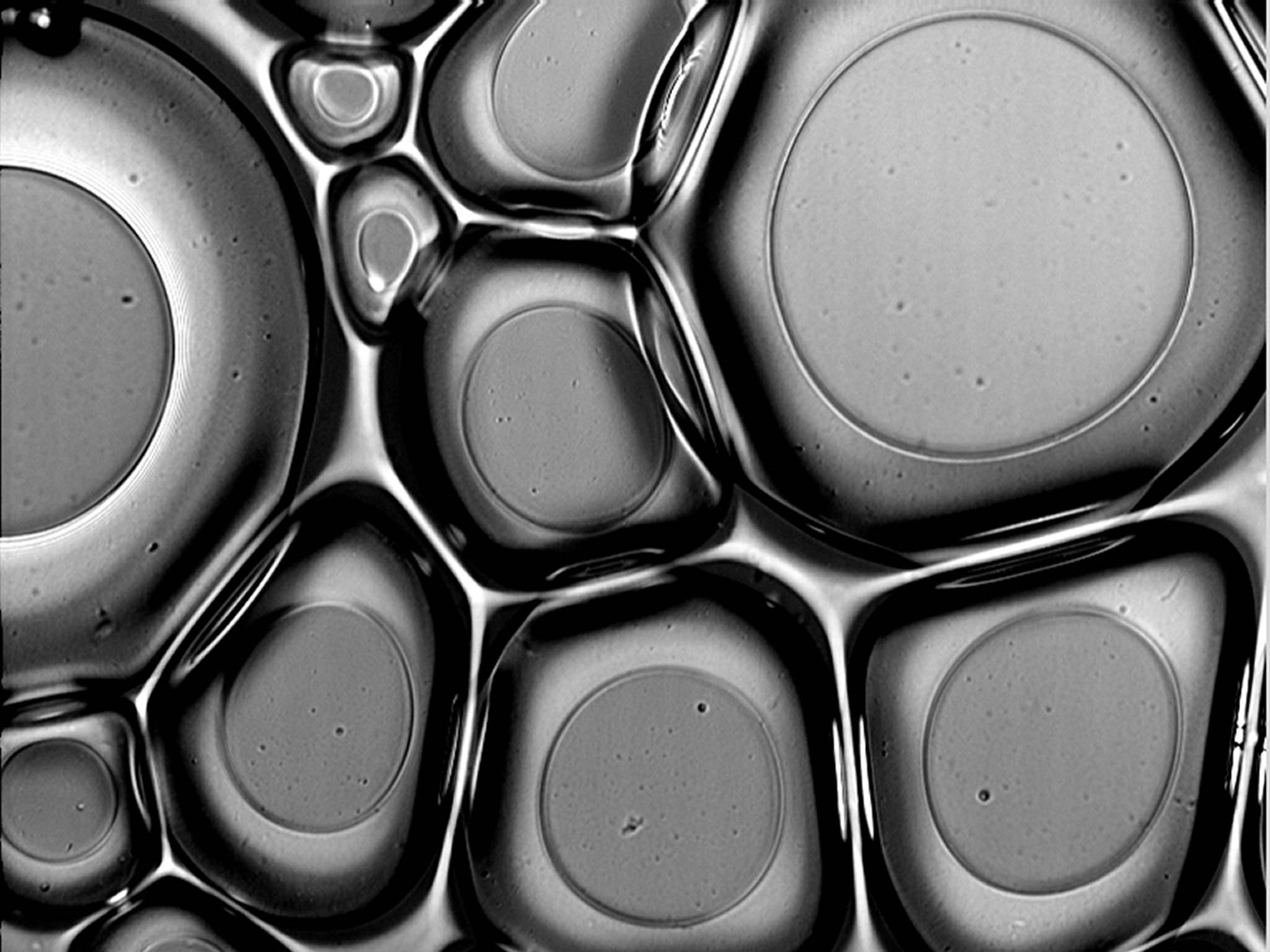 Air bubbles in a gelatineset Nikon’s Small World