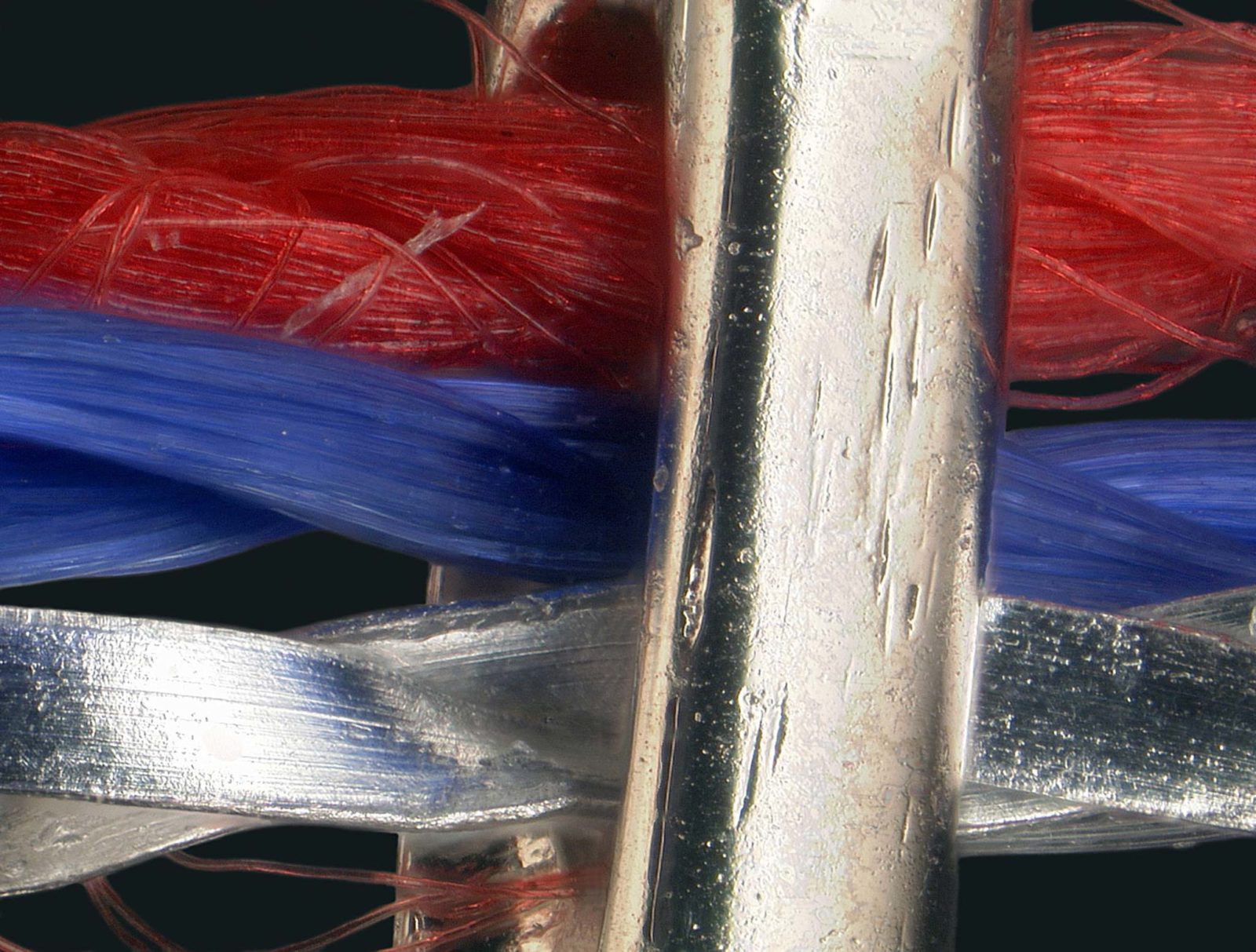 Polyester, rayon and metallic thread | Nikon Small World