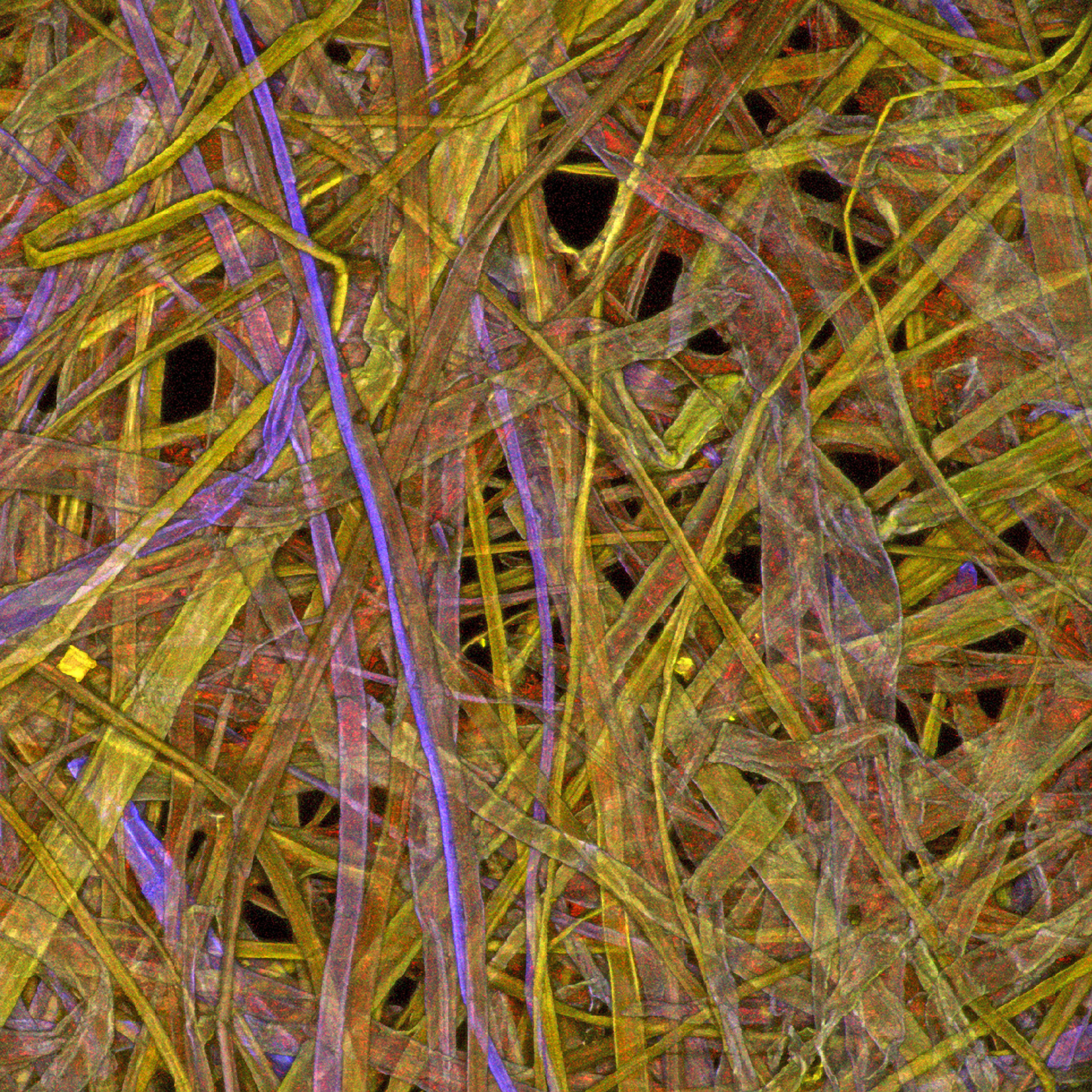 Fibrille Paper Paper fibers (mulberry) | Nikon Small World