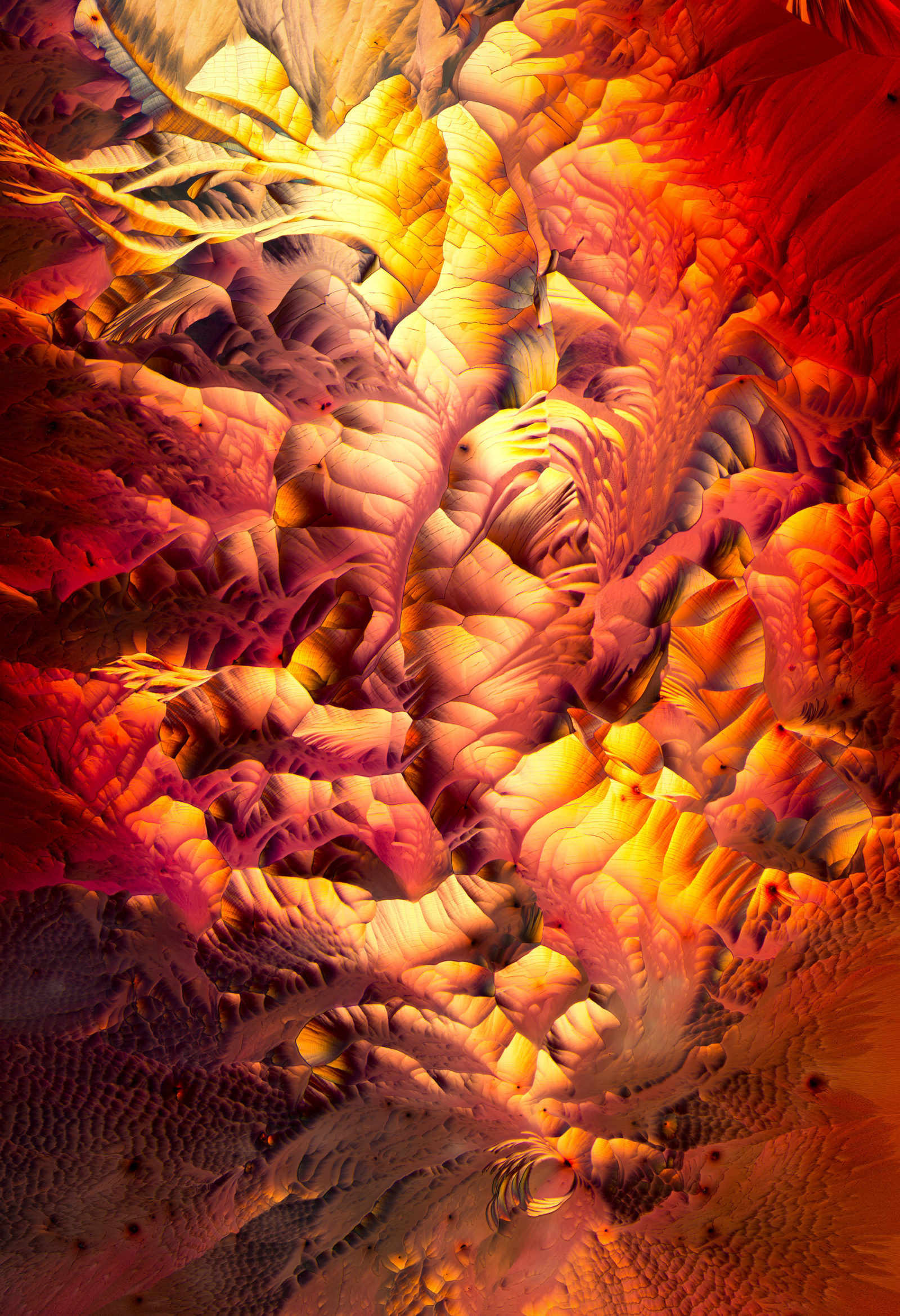 Amino acid crystals (Lglutamine and betaalanine) Nikon’s Small World