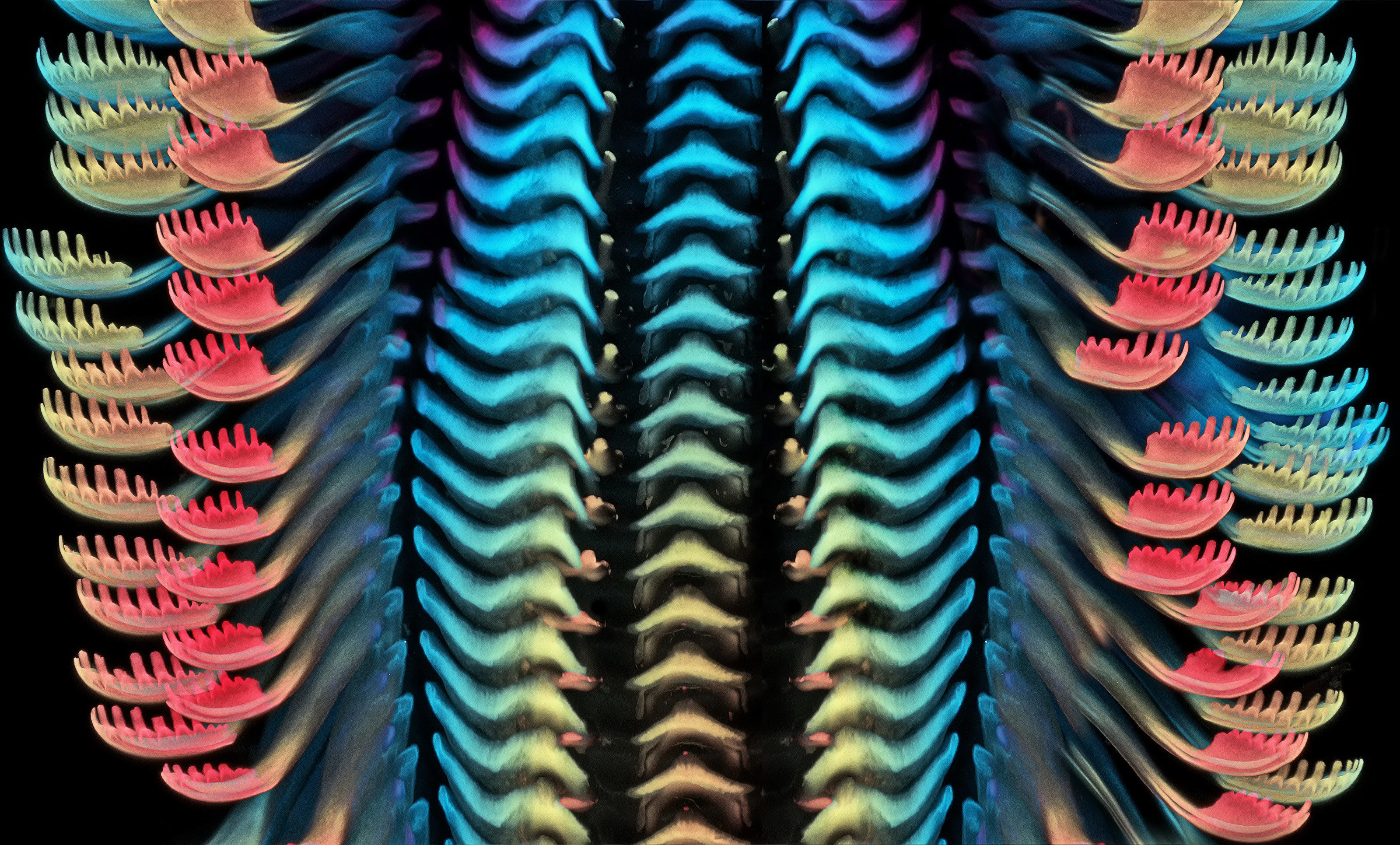 Tongue (radula) of a freshwater snail Nikon’s Small World