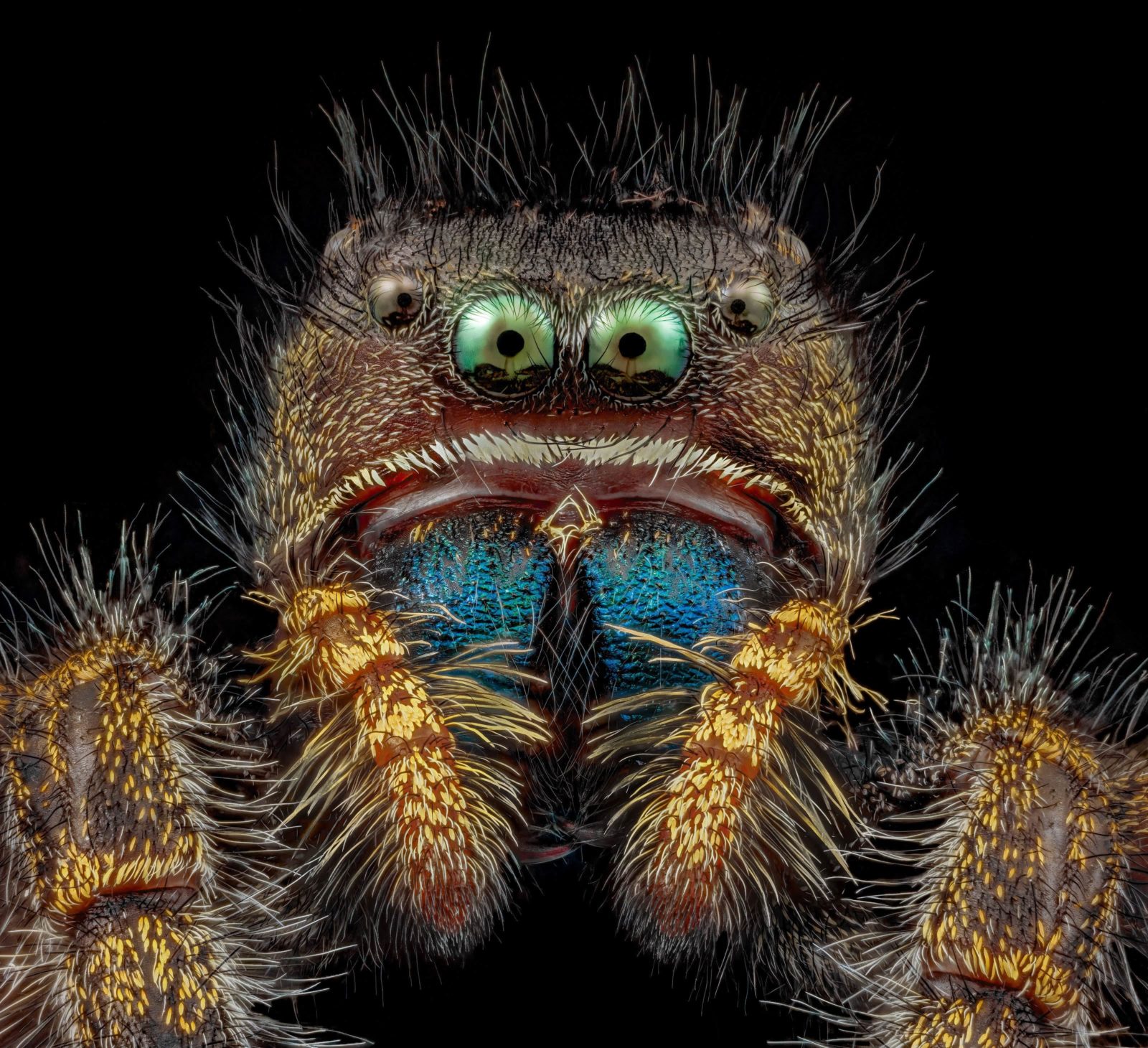 www.nikonsmallworld.com