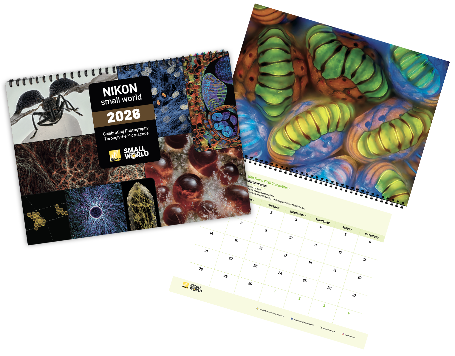 2026 Nikon Small World Calendar